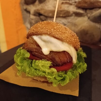 Sa_de_panz_Burger_2